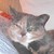 Colordreamer's avatar