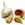 Garlic and Shallots: Allium sativum 'Italian Late'