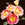 Floribundas_rosa_champagne_cocktail-1.sprite