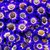 Cineraria: Pericallis cruenta 'Venezia Blue With Ring'
