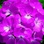 Geraniums_pelargonium_hortorum_ringo_2000_tm_deep_rose-1