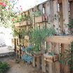 Garden Design