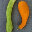 Gourds