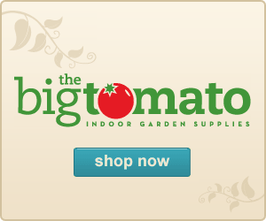 Big_tomato_banner_ad