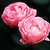 Antiques: Rosa 'La Marne'