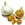 Garlic and Shallots: Allium sativum var. sativum 'Spanish Roja'