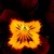 Violas_viola_cornuta_rocky_tm_red_w_yellow_face-1