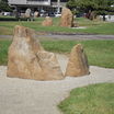 Sdc10585.thumb