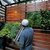 Ediblewallsystem.small