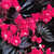 Begonias: Begonia 'Doublet Red'