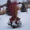 Winter_container