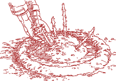 Planting-bare-root-rose-4