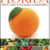 Florida-vegetable-gardening