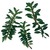 Winter-savory
