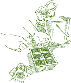 Seed_starting-drawing4.detail