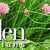 Salad_garden_banner