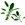 Sage: Salvia officinalis variegata 'Woodcote'