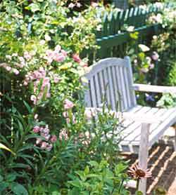 Garden_setting
