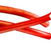 Vegetables_rheum_rhabarbarum-1