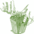 Broccoli-seed-starting-2