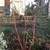 Blueberry_gardenwall_feb2010