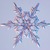 Snow_crystal_2