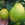 fruits and nuts