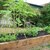 Veggie_boxes