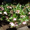 Dscf0023