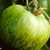 Green_zebra_tomato.small