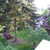Backyard_may_2_2004_005.small