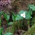 Dscf0035.small