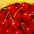 Cherry: Prunus cerasus 'North Star'