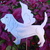 Angel_bassett_hound_7.5t_x_8w.small