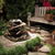 Boston_flower_show_052