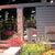Boston_flower_show_055