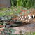 Boston_flower_show_081