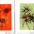 Art_gallery_pics_3-710