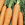 Carrots: Daucus Carota var. sativus, 'Miami'