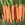 Carrots: Daucus Carota var. sativus, 'Yaya'
