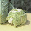 cauliflower