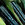 Corn: Zea mays, 'Black Aztec'