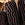 Corn: Zea mays, 'Dakota Black'