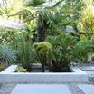 DigtheDirt Member Gardens