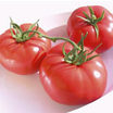 Tomato_corazon