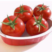 Tomato_novia