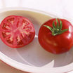 Tomato_querida