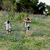 Hillside_frolic_edited