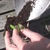 Still_5.small