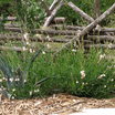 DigtheDirt Member Gardens